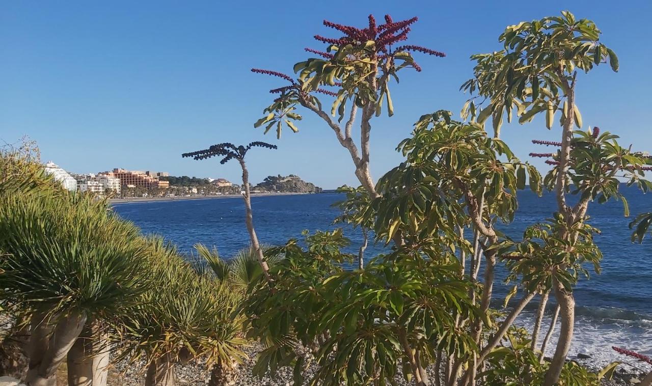 Rincon De Mar Διαμέρισμα Almuñécar Εξωτερικό φωτογραφία